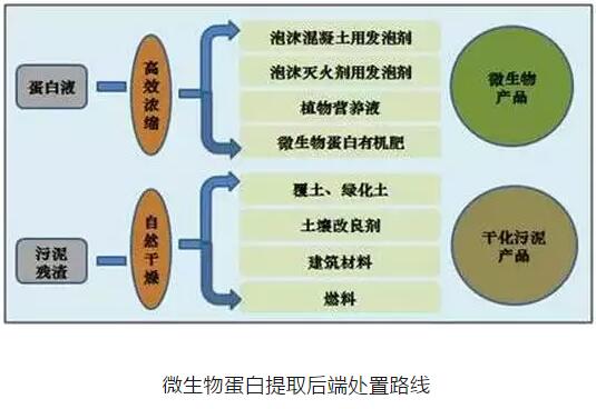 污泥處理處置市場(chǎng)不斷擴(kuò)大 什么才是主流技術(shù)？
